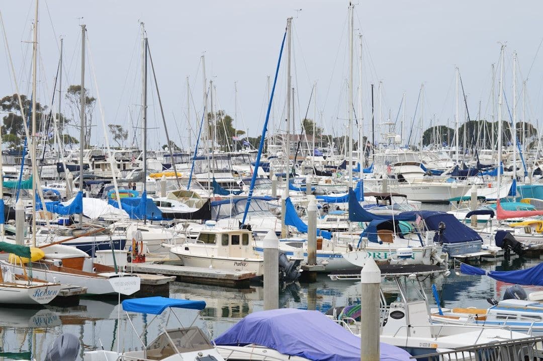 California Boater Card Requirements: Everything You Need to Know | Take My Boat Test