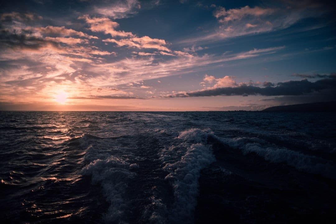 Florida vs California Boating License: Key Differences (2026) | Take My Boat Test
