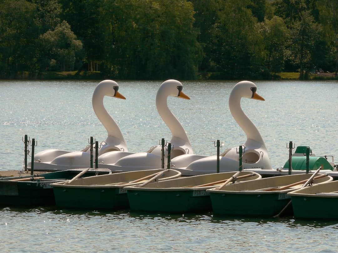 Motorized Kayak License Requirements | TakeMyBoatTest.com